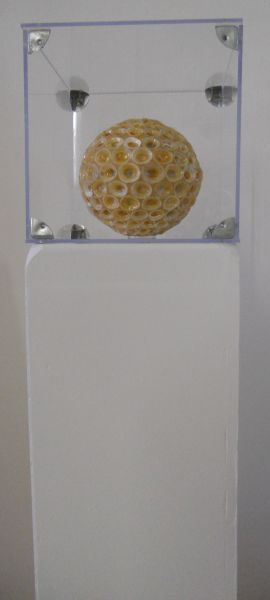 MW 07 (Normale Auflösung)